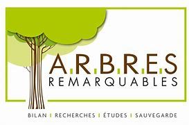 Logo de l’association Arbres Remarquables de France