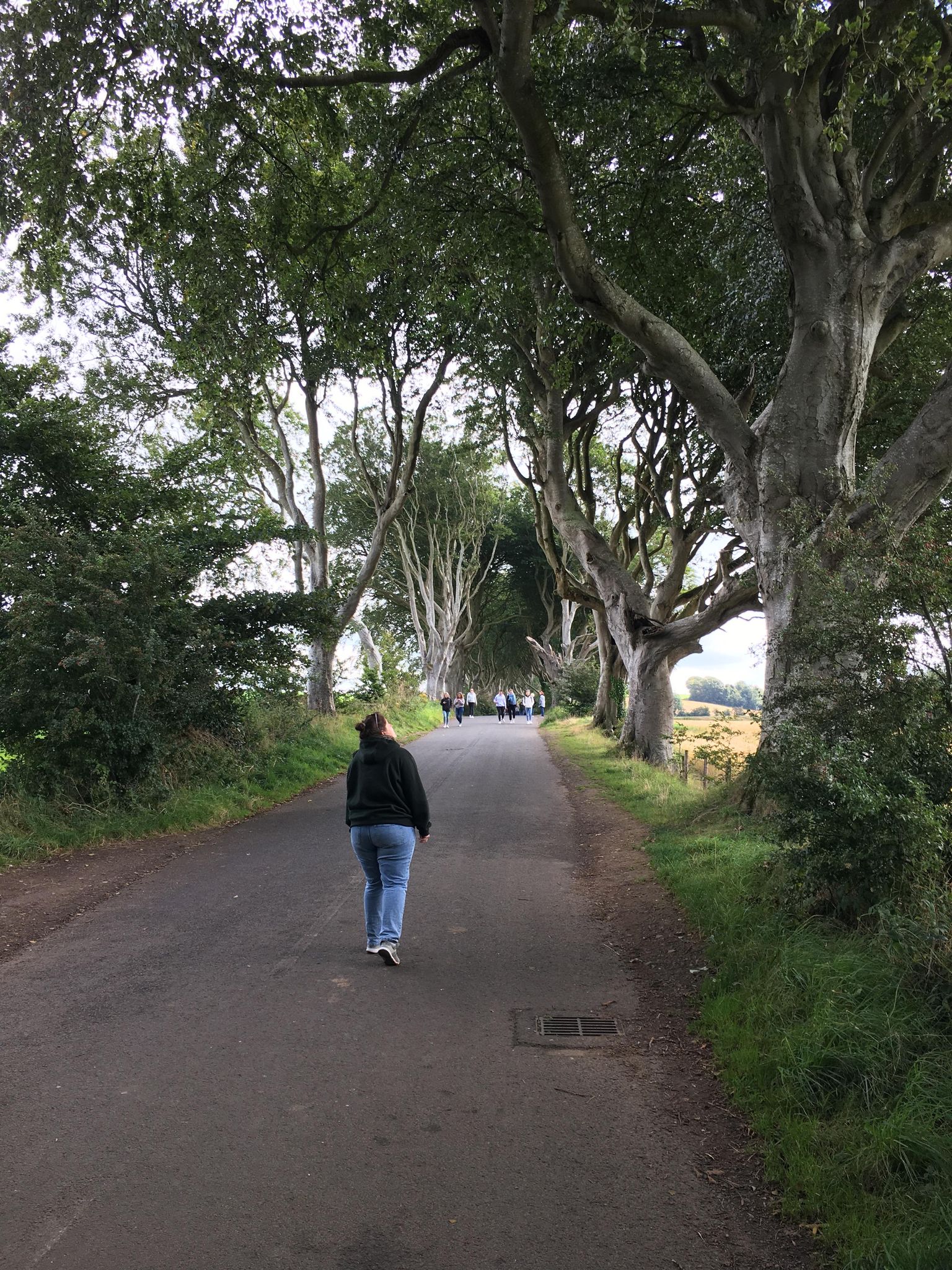 Photographie de Maud Doll, fondatrice de MD. Expertise, admirant un alignement de hêtres au sein du site The Dark Hedges en Irlande.