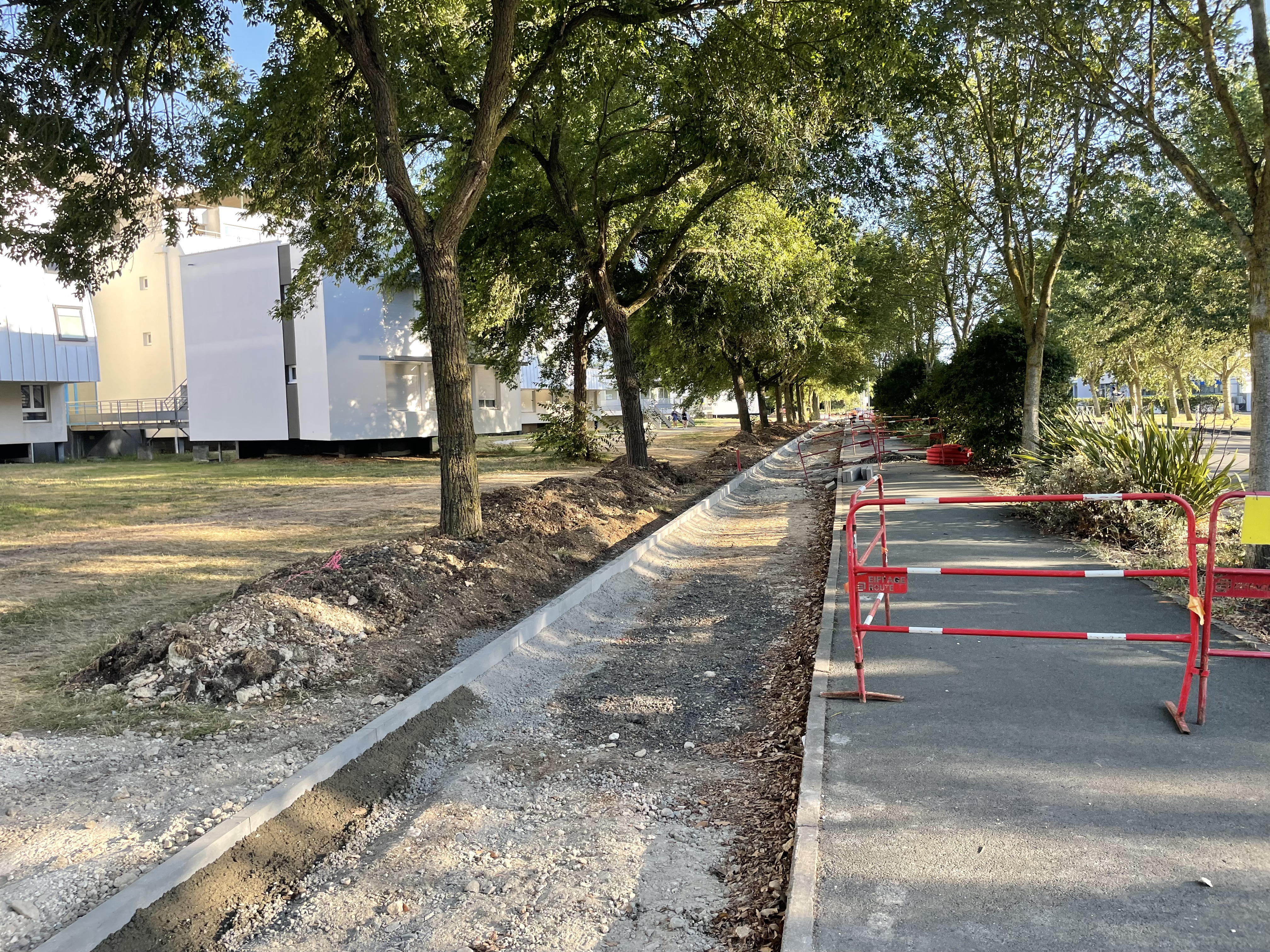 Photographie de travaux de voirie à proximité d'un alignement d'arbres